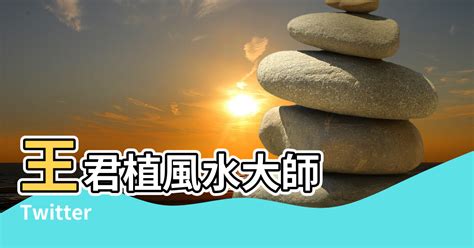 八零風水大師|八零風水大師（蘇莉清）